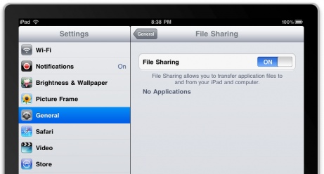 iPad file sharing disk mounting